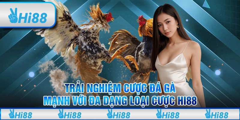 Trải nghiệm cược đá gà mạnh với đa dạng loại cược hi88