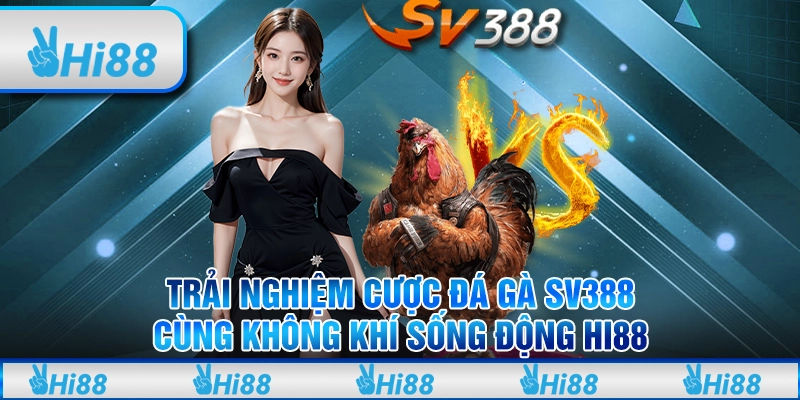 Trải nghiệm cược đá gà sv388 cùng không khí sống động hi88
