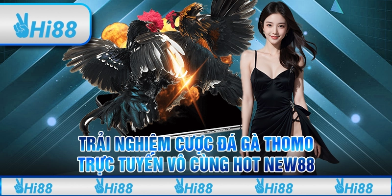 Trải Nghiệm Cược Đá Gà Thomo Trực Tuyến Vô Cùng Hot hi88