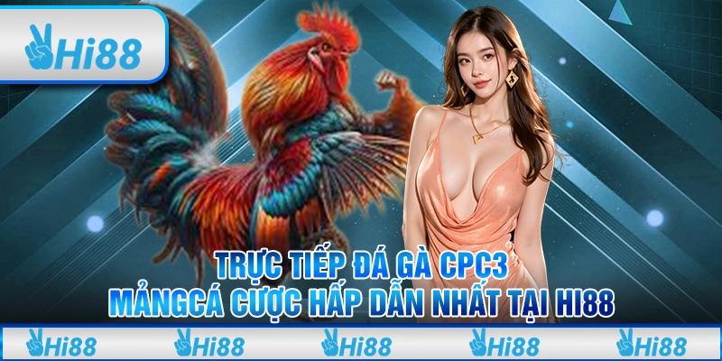 Trực tiếp đá gà CPC3 - Mảng cá cược hấp dẫn nhất tại hi88