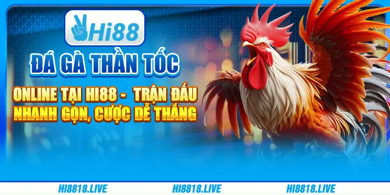 Đá gà thần tốc online tại Hi88 - Trận đấu nhanh gọn, cược dễ thắng