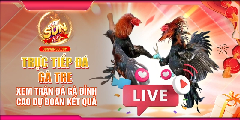 truc-tiep-da-ga-tre-xem-tran-da-ga-dinh-cao-du-doan-ket-qua