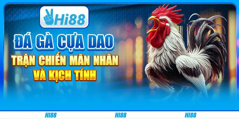 Đá Gà Cựa Dao Hi88 - Trận Chiến Mãn Nhãn Và Kịch Tính