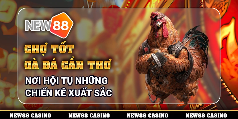 Chợ Tốt Gà Đá Cần Thơ - Nơi Hội Tụ Những Chiến Kê Xuất Sắc