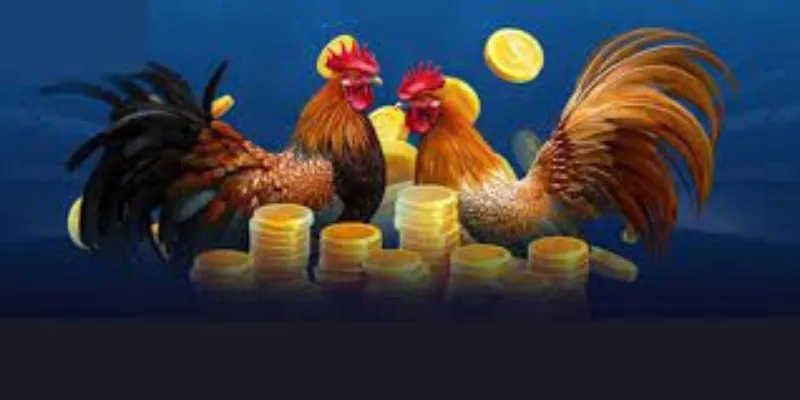 Hướng dẫn cách đặt cược nhanh chóng và hiệu quả