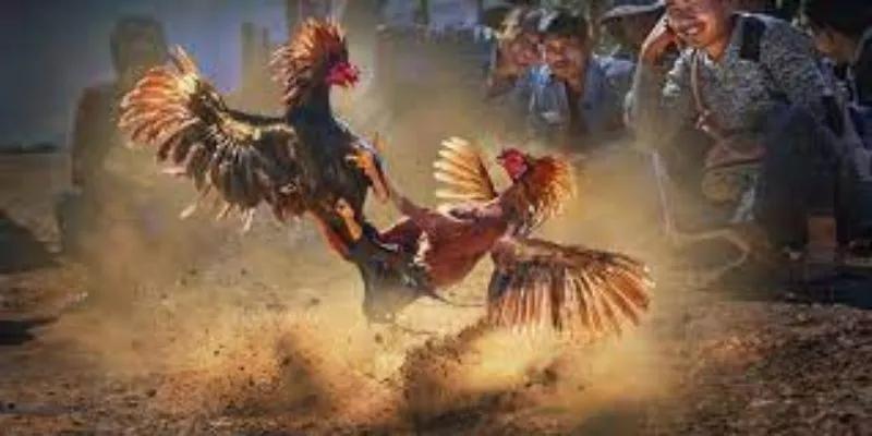 Áp dụng quản lý vốn để duy trì cuộc chơi