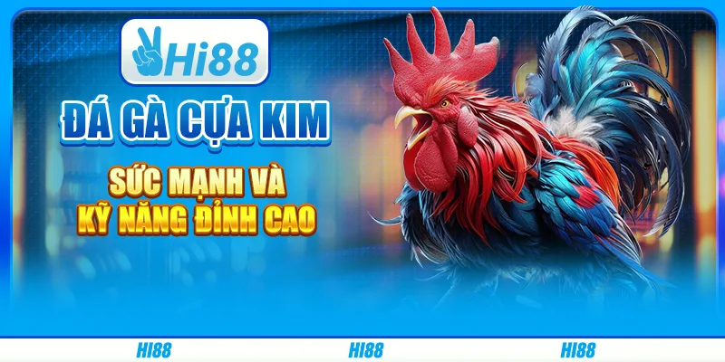 Đá gà cựa kim - sức mạnh và kỹ năng đỉnh cao trên hi88