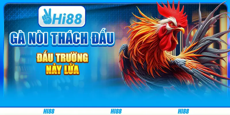Gà nòi thách đấu - đấu trường nảy lửa trên Hi88