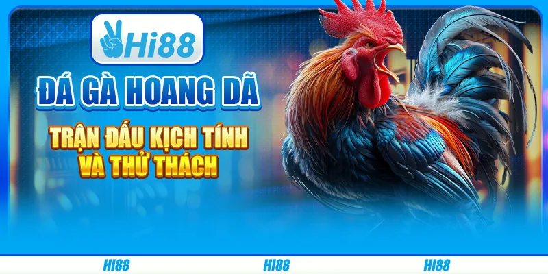 Đá gà hoang dã - trận đấu kịch tính và thử thách tại hi88