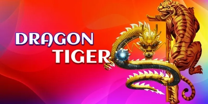 Cách đặt cược Rồng Hổ - Mẹo đọc cầu chuẩn xác từ cao thủ 4 Chiến thuật đặt cược Rồng Hổ nâng cao cơ hội thắng