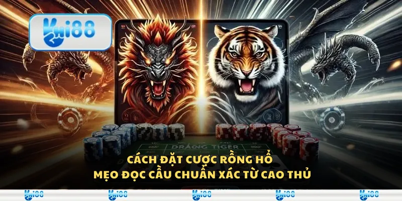 Cách đặt cược Rồng Hổ - Mẹo đọc cầu chuẩn xác từ cao thủ