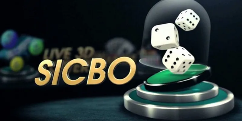 Cách chơi Sic Bo hiệu quả – Mẹo đặt cược giúp tối ưu lợi nhuận 3 Quy tắc cơ bản trong Sic Bo